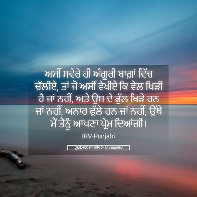 Picture 05 - ਸੁਲੇਮਾਨ ਦਾ ਗੀਤ 7:12 PANIRV - ਅਸੀਂ ਸਵੇਰੇ ਹੀ - Bible Verse Picture