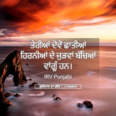 Picture 05 - ਸੁਲੇਮਾਨ ਦਾ ਗੀਤ 7:3 PANIRV - ਤੇਰੀਆਂ ਦੋਵੇਂ - Bible Verse Picture