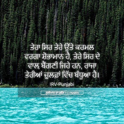 Picture 05 - ਸੁਲੇਮਾਨ ਦਾ ਗੀਤ 7:5 PANIRV - ਤੇਰਾ ਸਿਰ ਤੇਰੇ ਉੱਤੇ - Bible Verse Picture