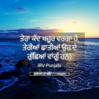 Picture 05 - ਸੁਲੇਮਾਨ ਦਾ ਗੀਤ 7:7 PANIRV - ਤੇਰਾ ਕੱਦ ਖਜ਼ੂਰ - Bible Verse Picture