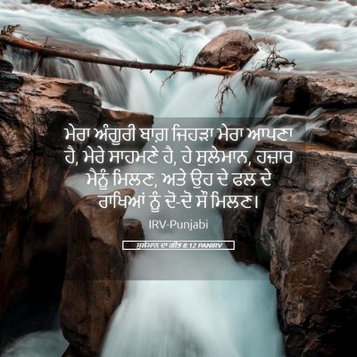 Picture 05 - ਸੁਲੇਮਾਨ ਦਾ ਗੀਤ 8:12 PANIRV - ਮੇਰਾ ਅੰਗੂਰੀ ਬਾਗ਼ - Bible Verse Picture