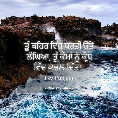 Picture 05 - ਹਬੱਕੂਕ 3:12 PANIRV - ਤੂੰ ਕਹਿਰ ਵਿੱਚ ਧਰਤੀ - Bible Verse Picture