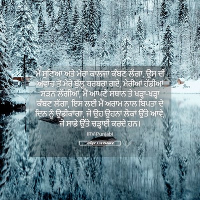 Picture 05 - ਹਬੱਕੂਕ 3:16 PANIRV - ਮੈਂ ਸੁਣਿਆ ਅਤੇ ਮੇਰਾ - Bible Verse Picture