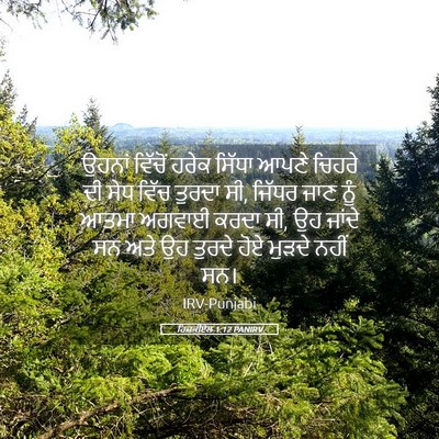 Picture 05 - ਹਿਜ਼ਕੀਏਲ 1:12 PANIRV - ਉਹਨਾਂ ਵਿੱਚੋਂ ਹਰੇਕ - Bible Verse Picture