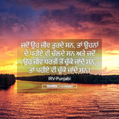 Picture 05 - ਹਿਜ਼ਕੀਏਲ 1:19 PANIRV - ਜਦੋਂ ਉਹ ਜੀਵ ਤੁਰਦੇ - Bible Verse Picture