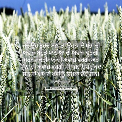 Picture 05 - ਹਿਜ਼ਕੀਏਲ 1:24 PANIRV - ਜਦੋਂ ਉਹ ਤੁਰਦੇ ਸਨ, - Bible Verse Picture