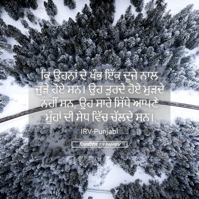 Picture 05 - ਹਿਜ਼ਕੀਏਲ 1:9 PANIRV - ਕਿ ਉਹਨਾਂ ਦੇ ਖੰਭ ਇੱਕ - Bible Verse Picture