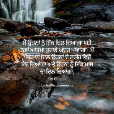 Picture 05 - ਹਿਜ਼ਕੀਏਲ 11:19 PANIRV - ਮੈਂ ਉਹਨਾਂ ਨੂੰ ਇੱਕ - Bible Verse Picture