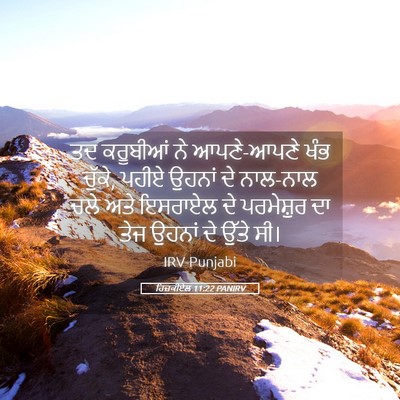Picture 05 - ਹਿਜ਼ਕੀਏਲ 11:22 PANIRV - ਤਦ ਕਰੂਬੀਆਂ ਨੇ - Bible Verse Picture