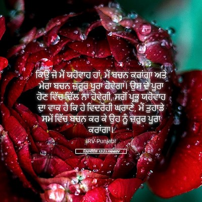 Picture 05 - ਹਿਜ਼ਕੀਏਲ 12:25 PANIRV - ਕਿਉਂ ਜੋ ਮੈਂ ਯਹੋਵਾਹ - Bible Verse Picture