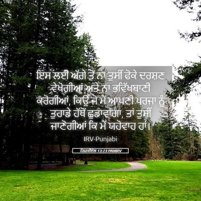 Picture 05 - ਹਿਜ਼ਕੀਏਲ 13:23 PANIRV - ਇਸ ਲਈ ਅੱਗੇ ਤੋਂ ਨਾ - Bible Verse Picture