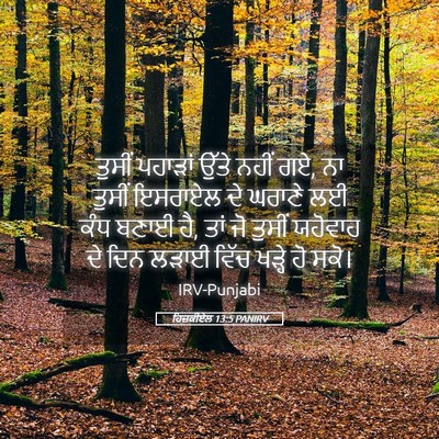 Picture 05 - ਹਿਜ਼ਕੀਏਲ 13:5 PANIRV - ਤੁਸੀਂ ਪਹਾੜਾਂ ਉੱਤੇ - Bible Verse Picture