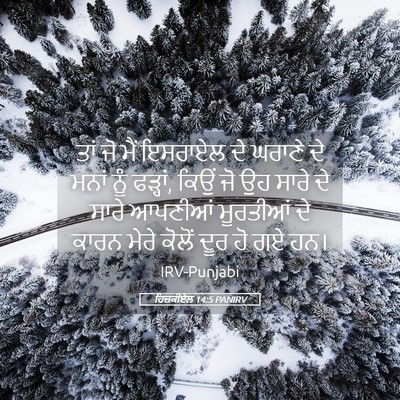Picture 05 - ਹਿਜ਼ਕੀਏਲ 14:5 PANIRV - ਤਾਂ ਜੋ ਮੈਂ ਇਸਰਾਏਲ - Bible Verse Picture