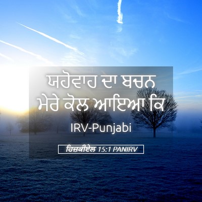 Picture 05 - ਹਿਜ਼ਕੀਏਲ 15:1 PANIRV - ਯਹੋਵਾਹ ਦਾ ਬਚਨ ਮੇਰੇ - Bible Verse Picture
