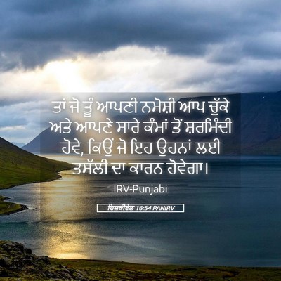 Picture 05 - ਹਿਜ਼ਕੀਏਲ 16:54 PANIRV - ਤਾਂ ਜੋ ਤੂੰ ਆਪਣੀ - Bible Verse Picture