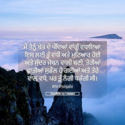 Picture 05 - ਹਿਜ਼ਕੀਏਲ 16:7 PANIRV - ਮੈਂ ਤੈਨੂੰ ਖੇਤ ਦੇ - Bible Verse Picture