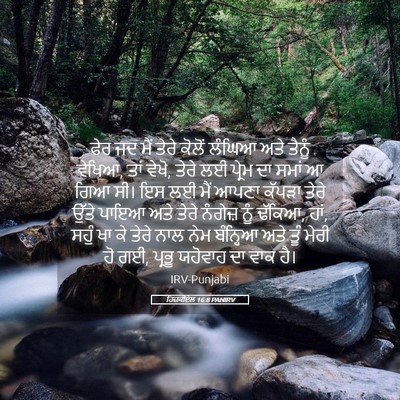 Picture 05 - ਹਿਜ਼ਕੀਏਲ 16:8 PANIRV - ਫੇਰ ਜਦ ਮੈਂ ਤੇਰੇ - Bible Verse Picture