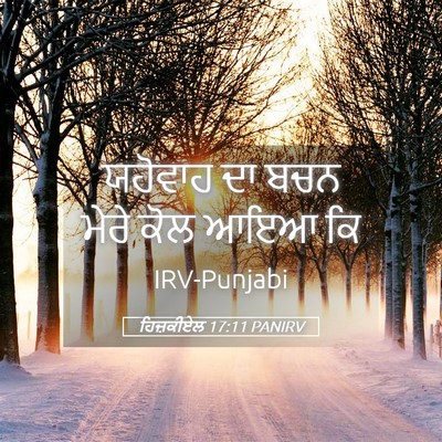 Picture 05 - ਹਿਜ਼ਕੀਏਲ 17:11 PANIRV - ਯਹੋਵਾਹ ਦਾ ਬਚਨ ਮੇਰੇ - Bible Verse Picture
