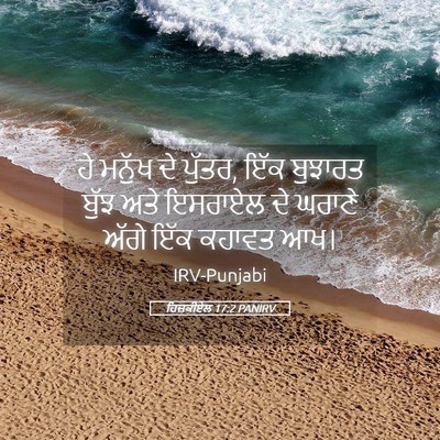Picture 05 - ਹਿਜ਼ਕੀਏਲ 17:2 PANIRV - ਹੇ ਮਨੁੱਖ ਦੇ ਪੁੱਤਰ, - Bible Verse Picture