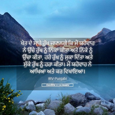 Picture 05 - ਹਿਜ਼ਕੀਏਲ 17:24 PANIRV - ਖੇਤ ਦੇ ਸਾਰੇ ਰੁੱਖ - Bible Verse Picture