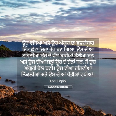 Picture 05 - ਹਿਜ਼ਕੀਏਲ 17:6 PANIRV - ਉਹ ਵਧਿਆ ਅਤੇ ਉਹ - Bible Verse Picture