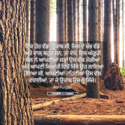 Picture 05 - ਹਿਜ਼ਕੀਏਲ 17:7 PANIRV - ਇੱਕ ਹੋਰ ਵੱਡਾ ਉਕਾਬ - Bible Verse Picture