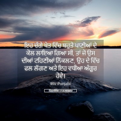 Picture 05 - ਹਿਜ਼ਕੀਏਲ 17:8 PANIRV - ਇਹ ਚੰਗੇ ਖੇਤ ਵਿੱਚ - Bible Verse Picture