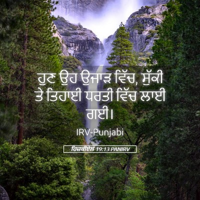 Picture 05 - ਹਿਜ਼ਕੀਏਲ 19:13 PANIRV - ਹੁਣ ਉਹ ਉਜਾੜ ਵਿੱਚ, - Bible Verse Picture