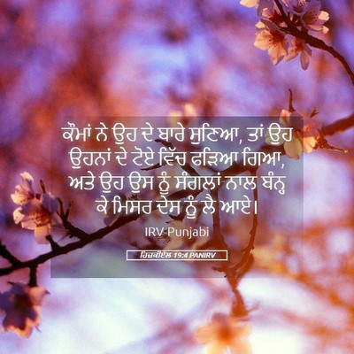 Picture 05 - ਹਿਜ਼ਕੀਏਲ 19:4 PANIRV - ਕੌਮਾਂ ਨੇ ਉਹ ਦੇ ਬਾਰੇ - Bible Verse Picture