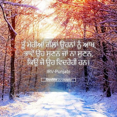Picture 05 - ਹਿਜ਼ਕੀਏਲ 2:7 PANIRV - ਤੂੰ ਮੇਰੀਆਂ ਗੱਲਾਂ - Bible Verse Picture
