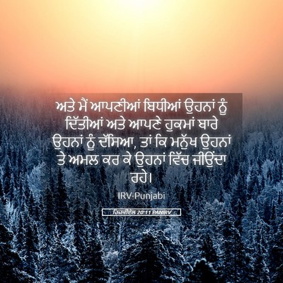 Picture 05 - ਹਿਜ਼ਕੀਏਲ 20:11 PANIRV - ਅਤੇ ਮੈਂ ਆਪਣੀਆਂ - Bible Verse Picture