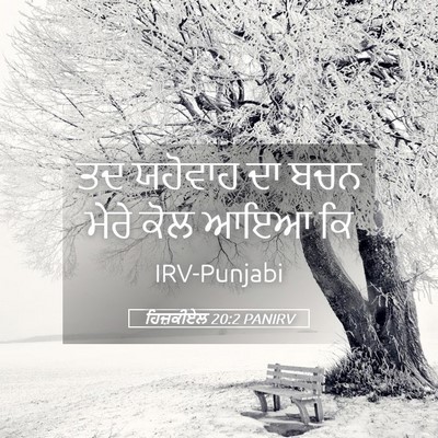 Picture 05 - ਹਿਜ਼ਕੀਏਲ 20:2 PANIRV - ਤਦ ਯਹੋਵਾਹ ਦਾ ਬਚਨ - Bible Verse Picture