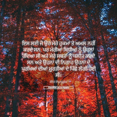 Picture 05 - ਹਿਜ਼ਕੀਏਲ 20:24 PANIRV - ਇਸ ਲਈ ਜੋ ਉਹ ਮੇਰੇ - Bible Verse Picture