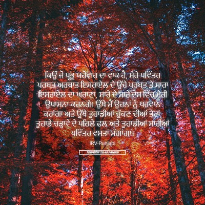 Picture 05 - ਹਿਜ਼ਕੀਏਲ 20:40 PANIRV - ਕਿਉਂ ਜੋ ਪ੍ਰਭੂ - Bible Verse Picture