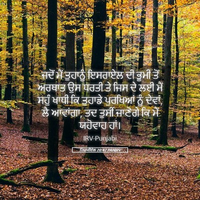 Picture 05 - ਹਿਜ਼ਕੀਏਲ 20:42 PANIRV - ਜਦੋਂ ਮੈਂ ਤੁਹਾਨੂੰ - Bible Verse Picture