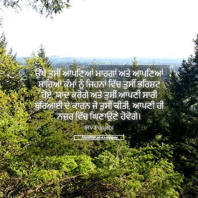 Picture 05 - ਹਿਜ਼ਕੀਏਲ 20:43 PANIRV - ਉੱਥੇ ਤੁਸੀਂ ਆਪਣਿਆਂ - Bible Verse Picture