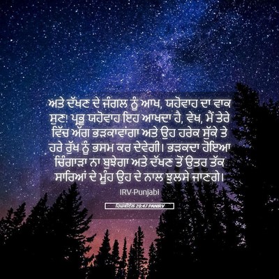 Picture 05 - ਹਿਜ਼ਕੀਏਲ 20:47 PANIRV - ਅਤੇ ਦੱਖਣ ਦੇ ਜੰਗਲ - Bible Verse Picture