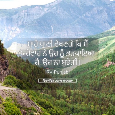 Picture 05 - ਹਿਜ਼ਕੀਏਲ 20:48 PANIRV - ਸਾਰੇ ਪ੍ਰਾਣੀ - Bible Verse Picture