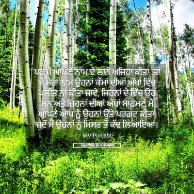 Picture 05 - ਹਿਜ਼ਕੀਏਲ 20:9 PANIRV - ਪਰ ਮੈਂ ਆਪਣੇ ਨਾਮ ਦੇ - Bible Verse Picture