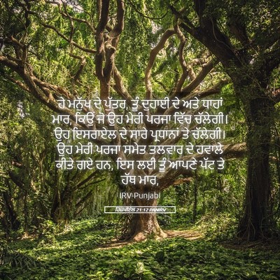 Picture 05 - ਹਿਜ਼ਕੀਏਲ 21:12 PANIRV - ਹੇ ਮਨੁੱਖ ਦੇ ਪੁੱਤਰ, - Bible Verse Picture