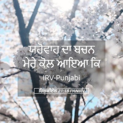Picture 05 - ਹਿਜ਼ਕੀਏਲ 21:18 PANIRV - ਯਹੋਵਾਹ ਦਾ ਬਚਨ ਮੇਰੇ - Bible Verse Picture