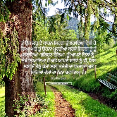 Picture 05 - ਹਿਜ਼ਕੀਏਲ 22:4 PANIRV - ਤੂੰ ਉਸ ਲਹੂ ਦੇ ਕਾਰਨ - Bible Verse Picture