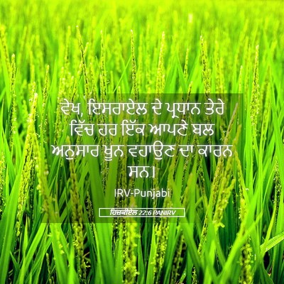 Picture 05 - ਹਿਜ਼ਕੀਏਲ 22:6 PANIRV - ਵੇਖ, ਇਸਰਾਏਲ ਦੇ - Bible Verse Picture