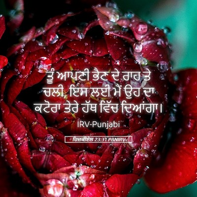 Picture 05 - ਹਿਜ਼ਕੀਏਲ 23:31 PANIRV - ਤੂੰ ਆਪਣੀ ਭੈਣ ਦੇ ਰਾਹ - Bible Verse Picture