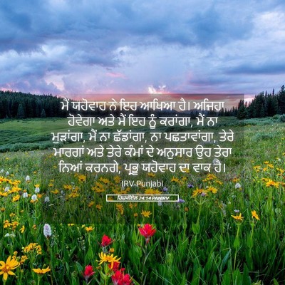 Picture 05 - ਹਿਜ਼ਕੀਏਲ 24:14 PANIRV - ਮੈਂ ਯਹੋਵਾਹ ਨੇ ਇਹ - Bible Verse Picture