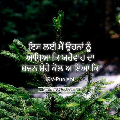 Picture 05 - ਹਿਜ਼ਕੀਏਲ 24:20 PANIRV - ਇਸ ਲਈ ਮੈਂ ਉਹਨਾਂ ਨੂੰ - Bible Verse Picture