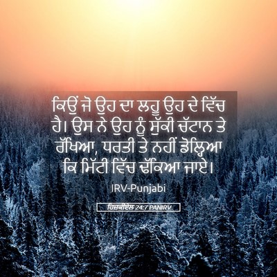 Picture 05 - ਹਿਜ਼ਕੀਏਲ 24:7 PANIRV - ਕਿਉਂ ਜੋ ਉਹ ਦਾ ਲਹੂ - Bible Verse Picture