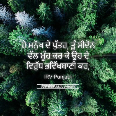 Picture 05 - ਹਿਜ਼ਕੀਏਲ 28:21 PANIRV - ਹੇ ਮਨੁੱਖ ਦੇ ਪੁੱਤਰ, - Bible Verse Picture