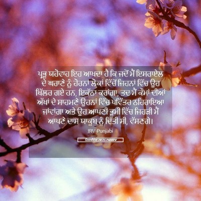 Picture 05 - ਹਿਜ਼ਕੀਏਲ 28:25 PANIRV - ਪ੍ਰਭੂ ਯਹੋਵਾਹ ਇਹ - Bible Verse Picture