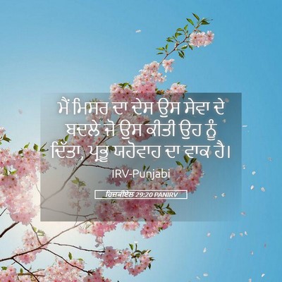 Picture 05 - ਹਿਜ਼ਕੀਏਲ 29:20 PANIRV - ਮੈਂ ਮਿਸਰ ਦਾ ਦੇਸ ਉਸ - Bible Verse Picture